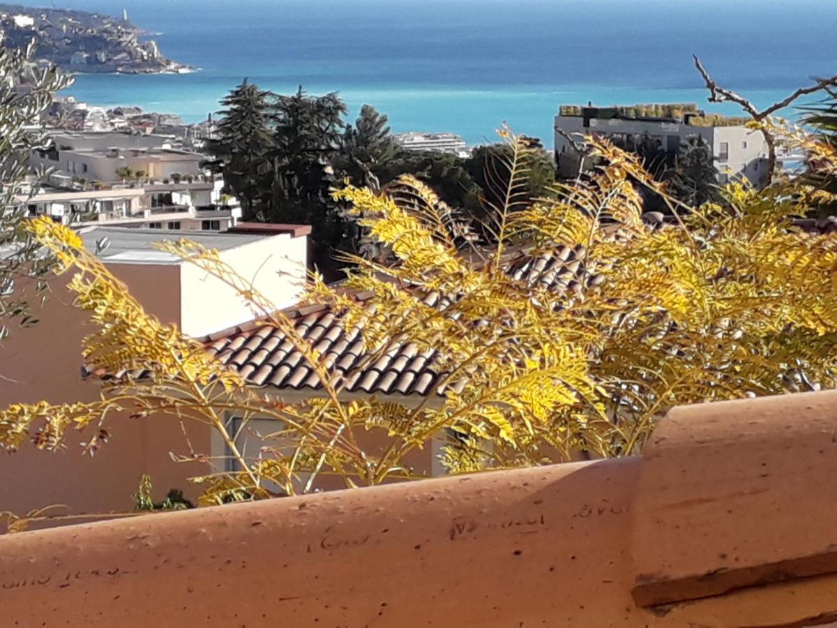 Villa Bellevue Νίκαια Εξωτερικό φωτογραφία
